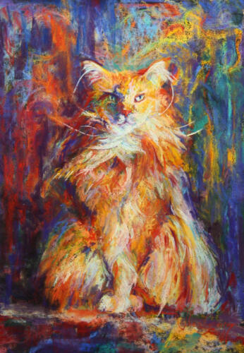 Alabama Touch of Fantasy, aka Bammetje