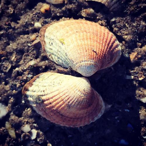 WhatsApp Image 2023-04-03 at 18.39.15