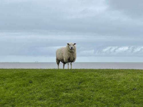 WhatsApp Image 2023-04-03 at 18.39.16 (1)