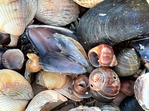 WhatsApp Image 2023-04-03 at 18.39.16