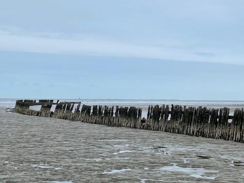 WhatsApp Image 2023-04-03 at 18.39.17