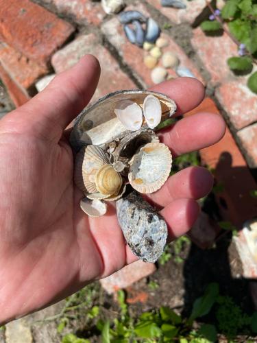 WhatsApp Image 2023-04-03 at 18.39.18 (1)