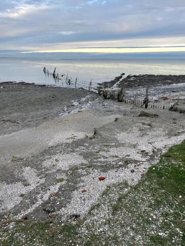 WhatsApp Image 2023-04-03 at 18.39.18 (12)