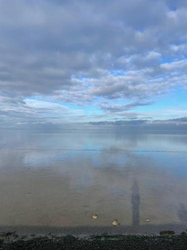 WhatsApp Image 2023-04-03 at 18.39.18 (13)