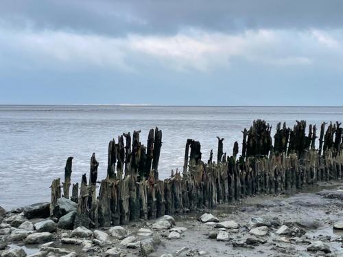 WhatsApp Image 2023-04-03 at 18.39.18 (14)