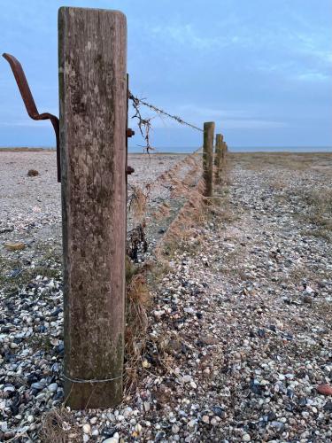 WhatsApp Image 2023-04-03 at 18.39.18 (7)